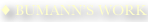 shapeimage_7_link_0
